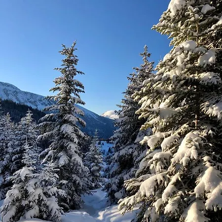 Appartement T2- 4pers- Bachat Bouloud Chamrousse