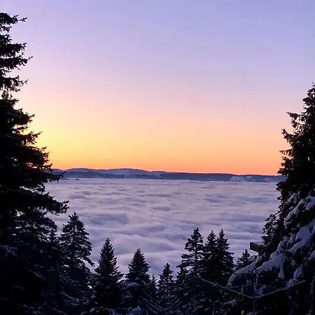 T2- 4pers- Bachat Bouloud Apartment Chamrousse